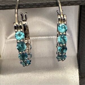 Blue Topaz Rhodium Over Sterling Silver Earrings.